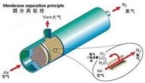 全自動膜分離制氮機