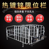 母豬限位欄豬場定位欄國標2.5熱鍍鋅一寸管豬產床帶食槽豬欄設備