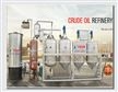 小型油脂间歇精炼设备