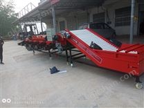 大蒜分選機(jī)6組--簡易款