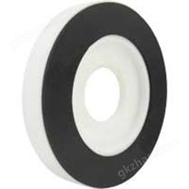 Dwyer TE系列 防腐型标准孔板装置