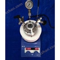 可视高压反应釜WCGF系列