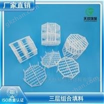 DN95海水洗涤塔蓝泰克三层组合填料