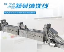 TW-306L中型蔬菜清洗線