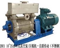 2BE水環(huán)式真空泵