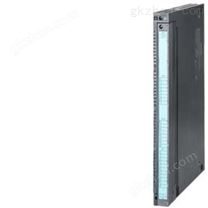 德國(guó)西門(mén)子可編程控制器,Siemens