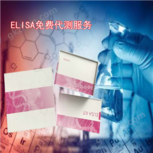 豚鼠白三烯B4ELISA检测试剂盒